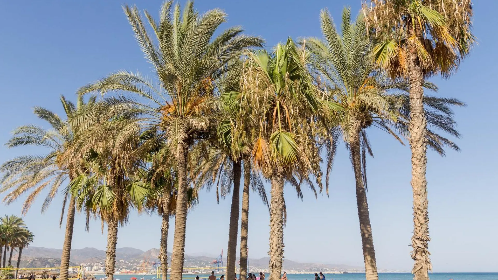 Estudio A 200 Metros De La Playa Malaga Apartment